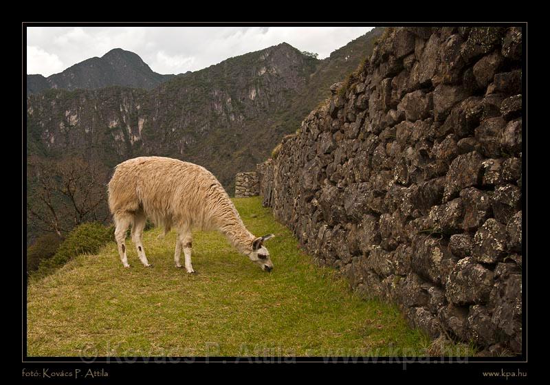 Machu Piccu 059.jpg